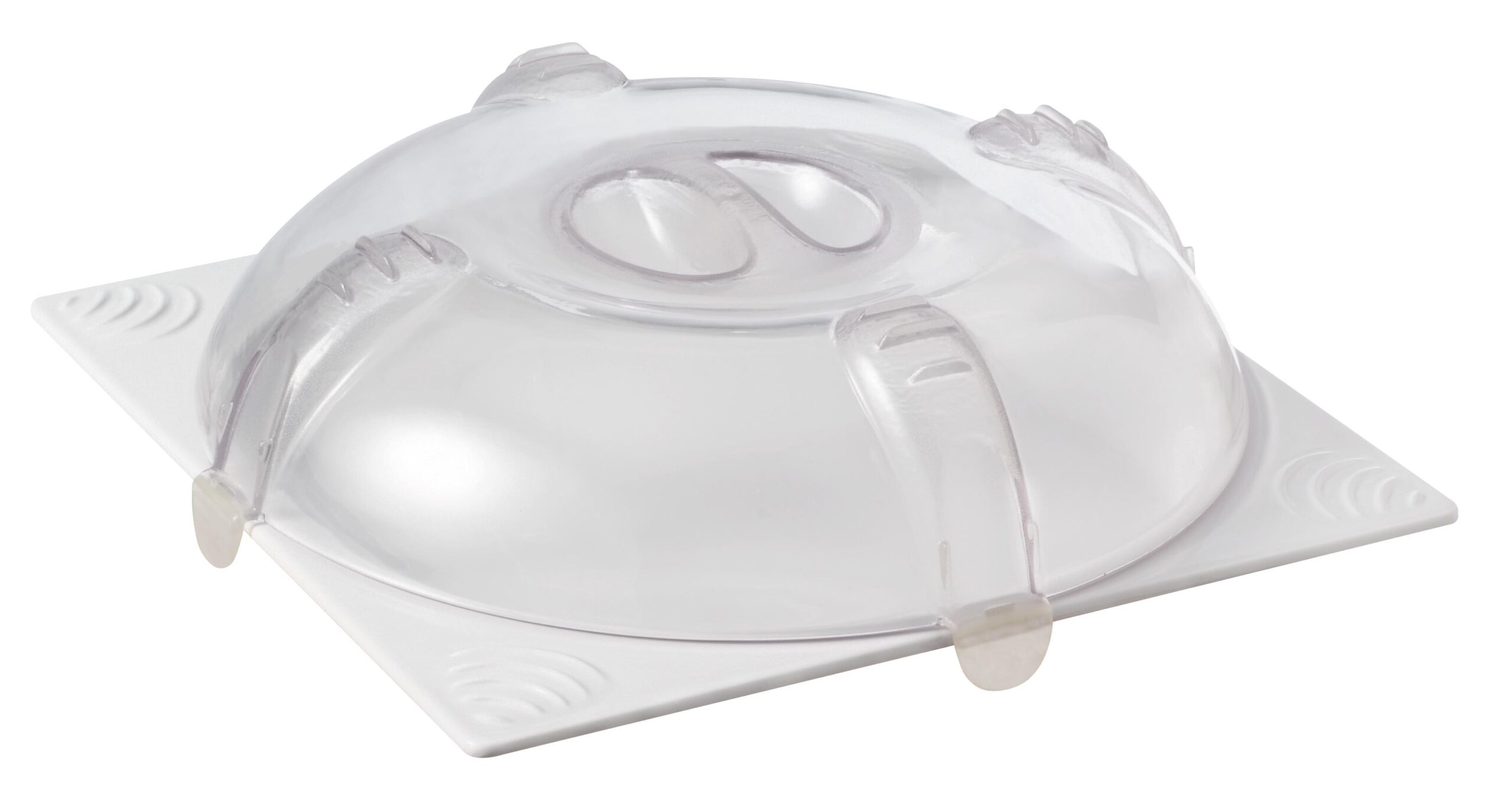 cloche sur assiette